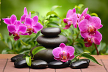 obraz zen kamene a orchidea
